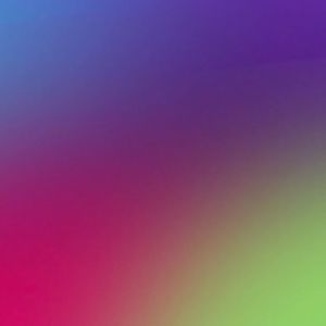 Meet your Posher, Shelby